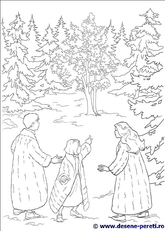 Cronicile Narnia desene de colorat